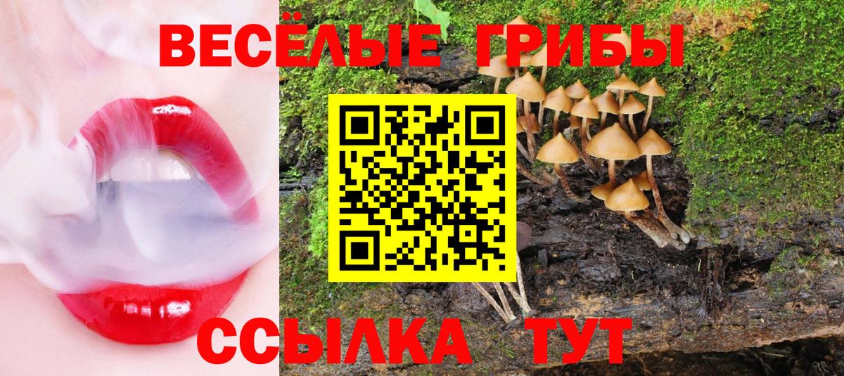 Галлюциногенные грибы Magic Shrooms  Вход с VPN  Нефтекумск  Псилоцибиновые грибы прущие грибы 